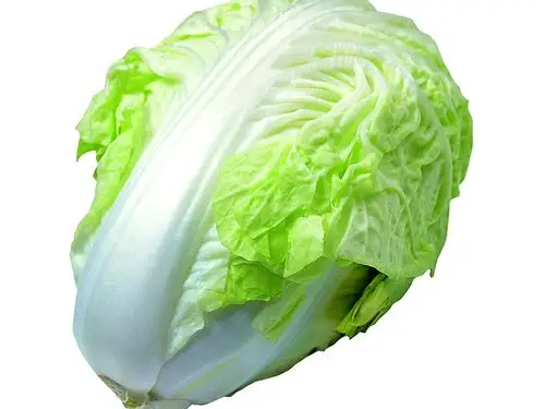 精品圆白菜(土白菜)