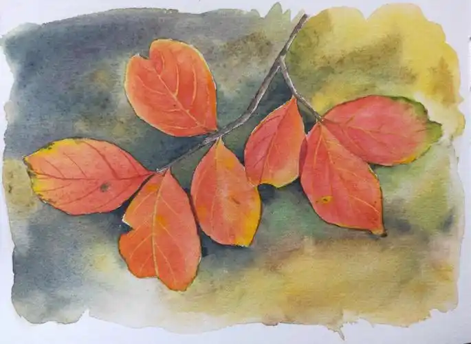 水彩树叶