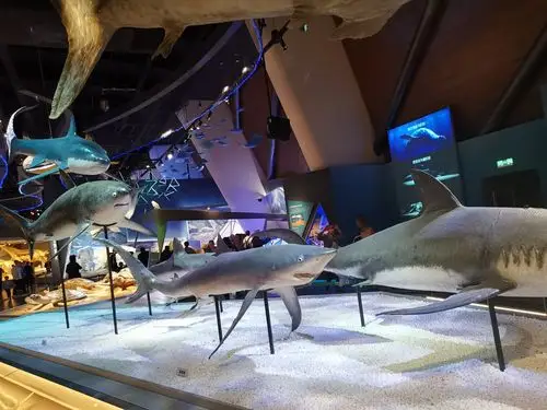 问个去过国家海洋博物馆的事