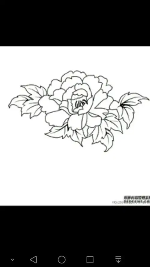 简单牡丹花画法