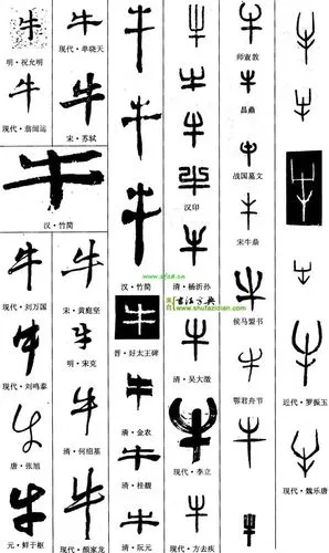 短视频▏甲骨文中的象形牛真的很牛