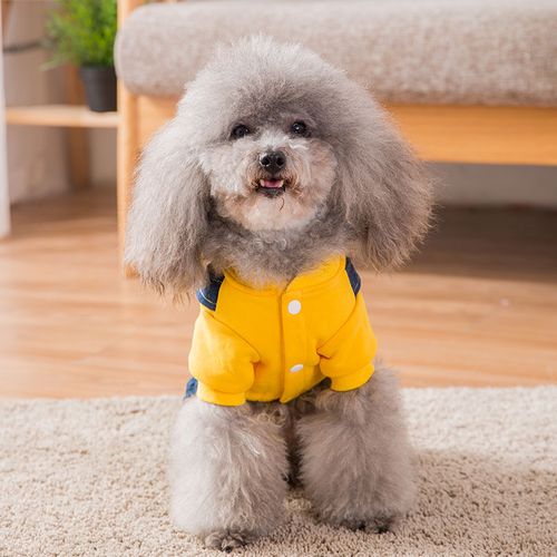 狗狗冬装四脚宠物潮牌可爱幼犬博美衣服熊博美狗宠物服装