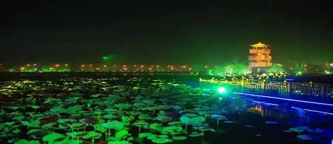 相城区荷塘月色湿地公园