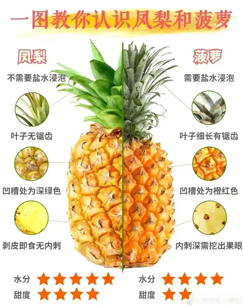 常见菠萝凤梨图鉴攻略,话说凤梨菠萝你分得清吗? - 抖音