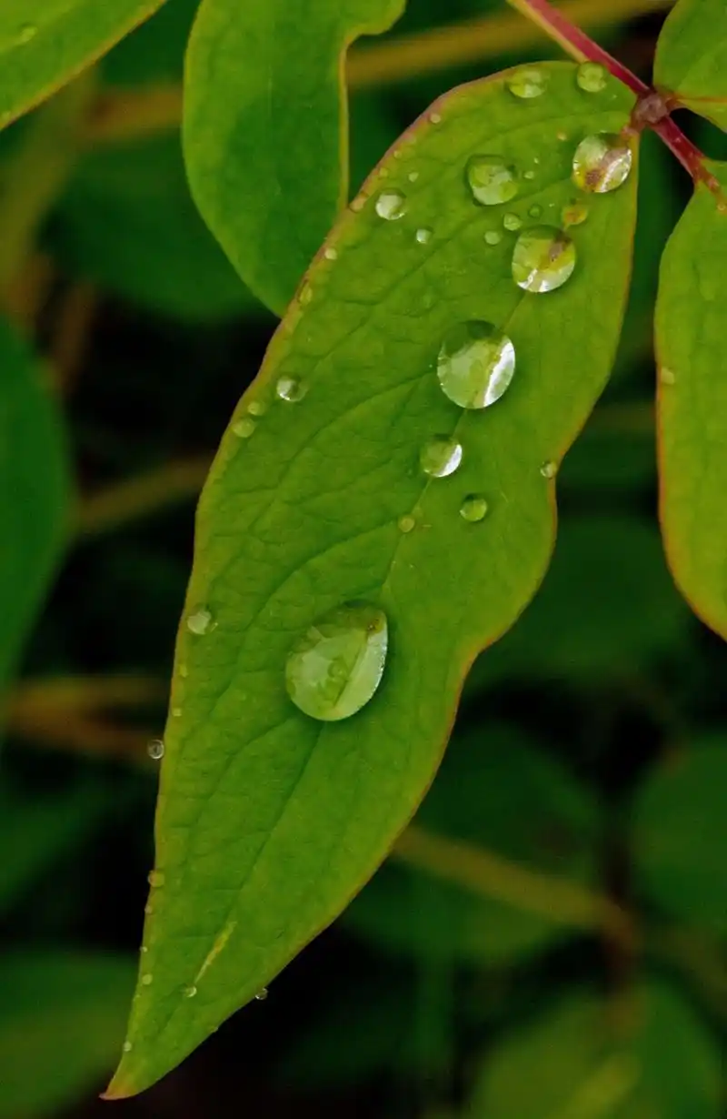 1080_1660竖版 竖屏