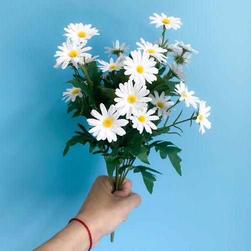 仿真小雏菊花束野菊花塑料干花假花阳台家居野餐装饰拍照手捧花艺 白