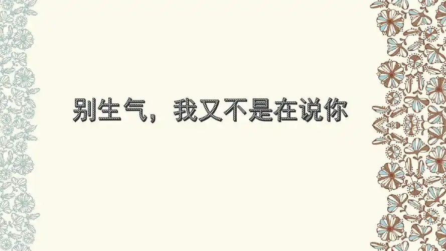 别生气,我又不是在说你ppt