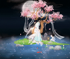 297_251gif 动态图 动图