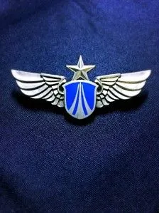 我是一只飞行员