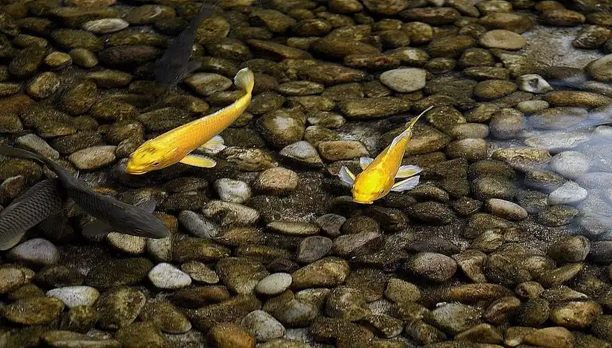 晨曲:流水潺潺,鸟鸣啾啾,笛声悠悠