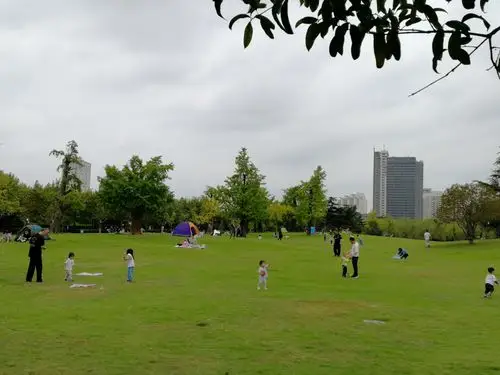 松江中央公园(手机拍)