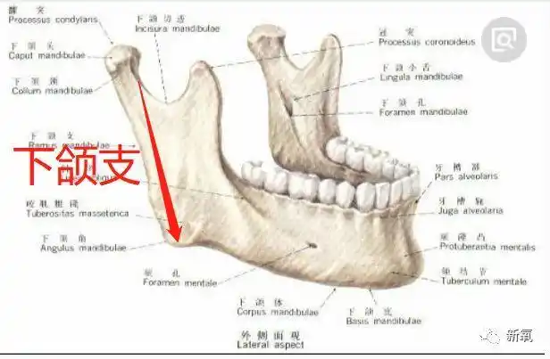 南韩第一女神的下颌角在视觉中国镜头下崩塌但诡异的是她可能真的没削