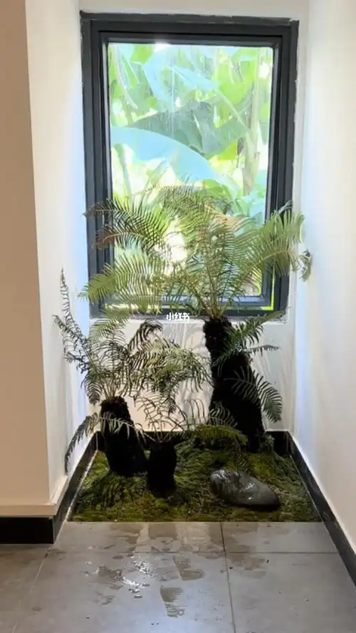 听云茶馆室内小景观完成