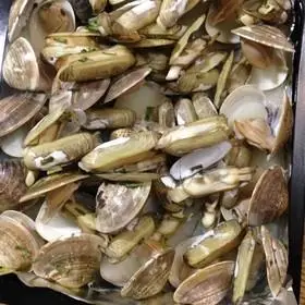 烤白蛤的全部作品