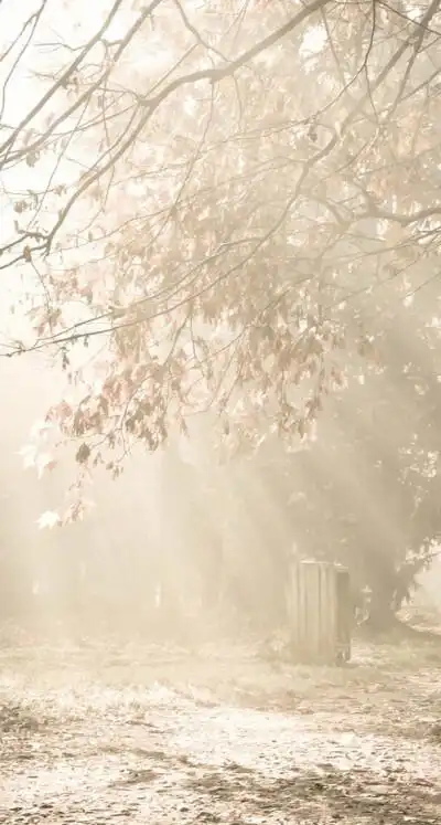 唯美风景i - 堆糖,美图壁纸兴趣社区