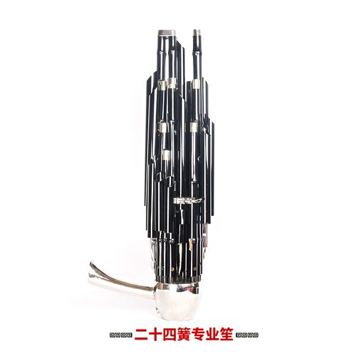 新艺 精致加键扩音笙乐器大全圆竽乐器修笙工具笙包 24加键簧笙-d调