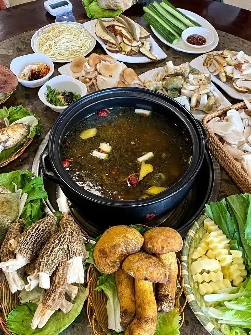 昆明土著排队都要去吃的菌子火锅,分量太足 菌子火锅是真的吃