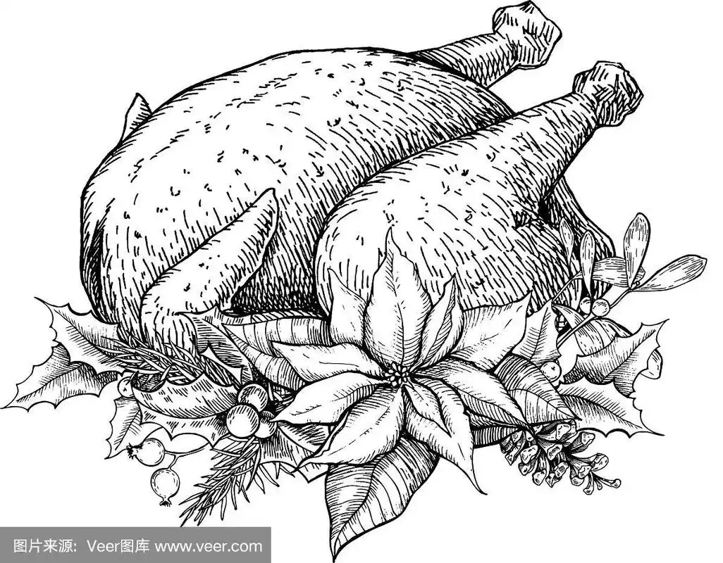 圣诞节或感恩节火鸡手绘