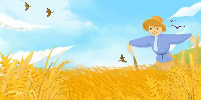 清新插画风丰收稻香背景