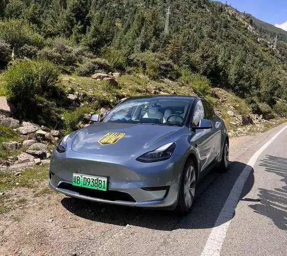 特斯拉新能源车