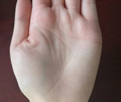 双手川字掌的女人命运如何-996手相网