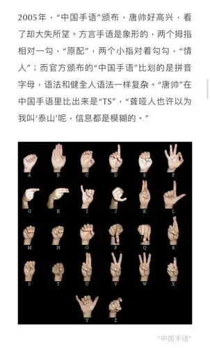 原来手语也有官方/自然之分,绝大部分的聋哑人根本看不懂央视的手语