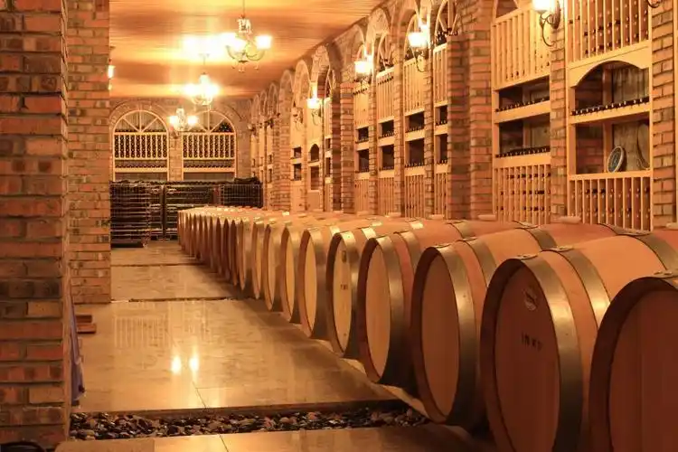 酒庄级葡萄酒品鉴,意式海岛料理奢享来啦!珠海这里将被引爆!