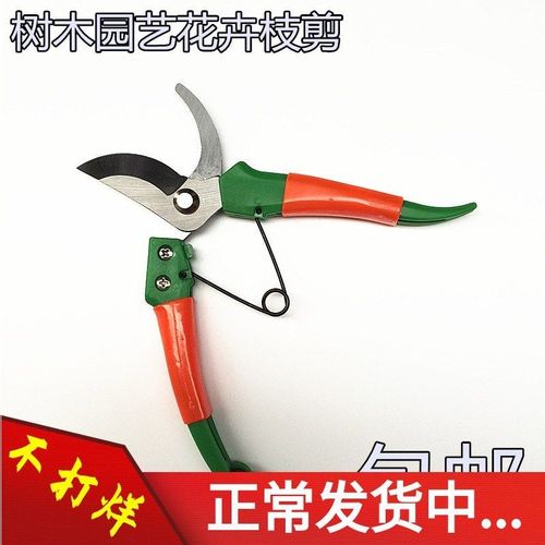 新款包邮 园艺花木剪枝修剪工具修枝剪果树盆景园林花卉剪刀整枝