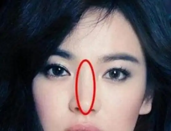 狮子鼻女人命运 ,鼻子特别小的女人有福气吗图2