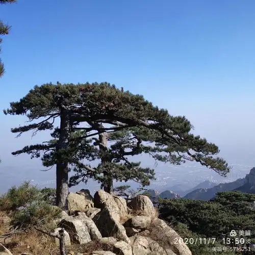 11.7立冬日登泰山