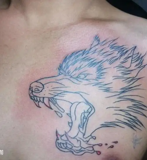 狼头_纹身图案手稿图片_啊友的纹身作品集