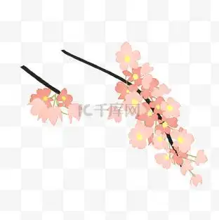 粉色樱花装饰插画