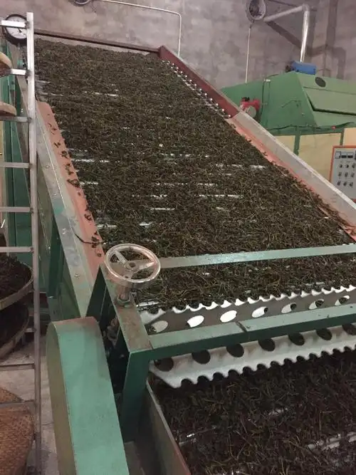 茶叶的制作流程