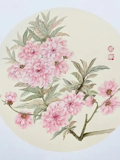 国画没骨画打卡58100恽寿平桃花教程