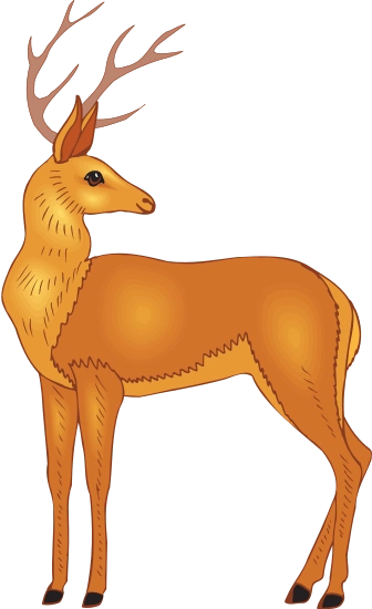 elk - 素材 - canva可画