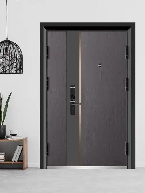 甲级智能防盗门进户门家用入户门标准门子母门锌合金门子母门205118