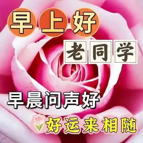 老同学早上好创意祝福图片带字带问候语录_开心_朋友_都能