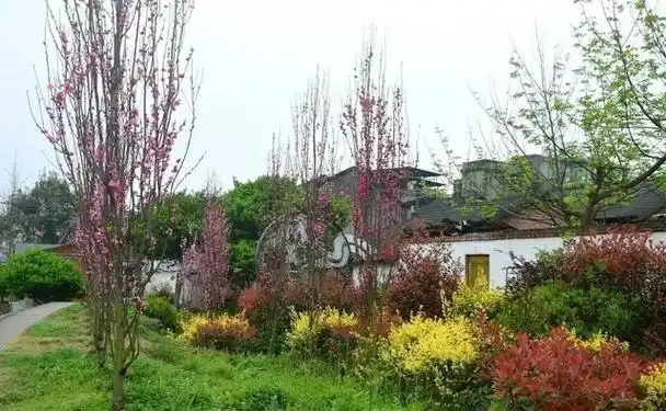 成都近郊深藏着的一个宝藏的小众旅游地一一大邑悦来古镇!