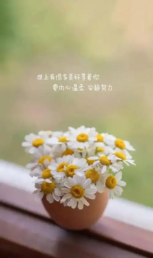 鼓励人努力的经典句子说说心情说说心情