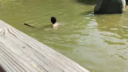 小朋友夏天太热直接光屁股跑水沟去游泳