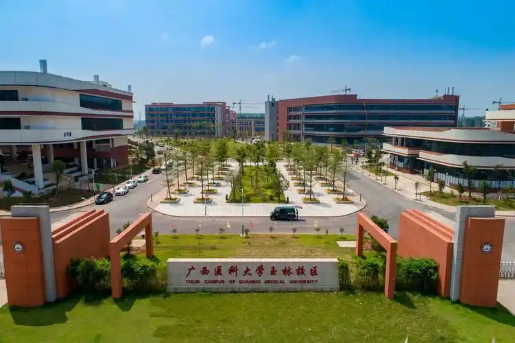 【广西高校博士招聘】广西医科大学2023年诚聘海内外优秀博士人才 —