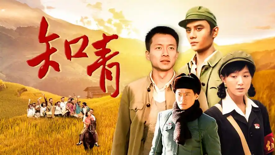 《知青》完整版电视剧-中国大陆-免费在线观看-秋千影视