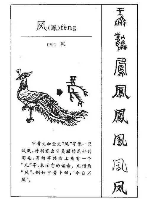 甲骨文是中国古代文字的一种,有着悠久的历史和文化底蕴.