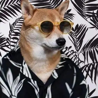 超拽狗头675304一个人的头像,狗头_男生头像_我要个性网