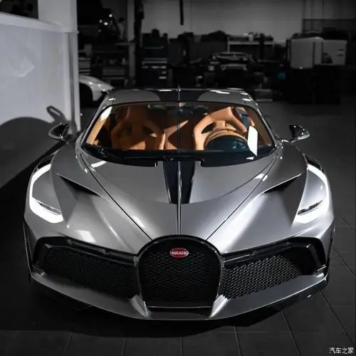 布加迪 divo!大肥牛一枚.