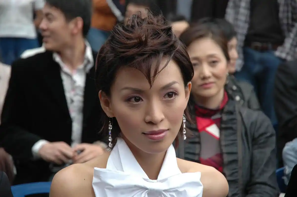 因嫁小3岁豪门男友而隐退4年,今44岁孑然一身|梅艳芳|梅艳芳菲|陈炜