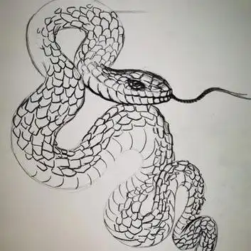 蛇 素描 速写 创意美术 绘画.@再认真点哦的动态