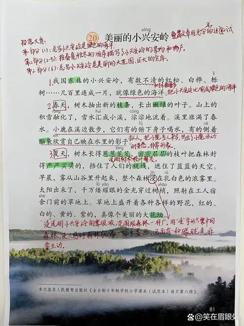 20课《美丽的小兴安岭》