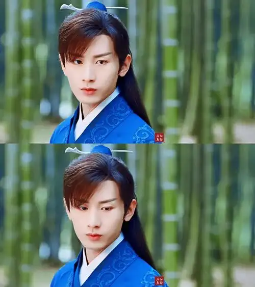 成毅|禹司凤 cr.废话鱼仔