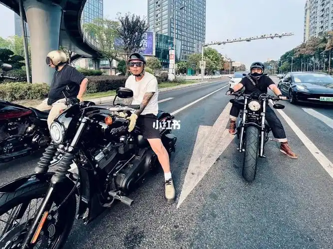 由于第三者的出现,终于给了我两兄弟同框的镜头,小腿上的海格力斯好像